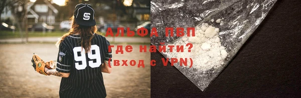 дживик Бородино