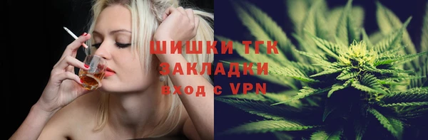 дживик Бородино