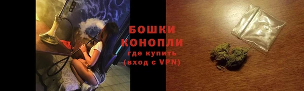 дживик Бородино