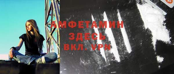 дживик Бородино