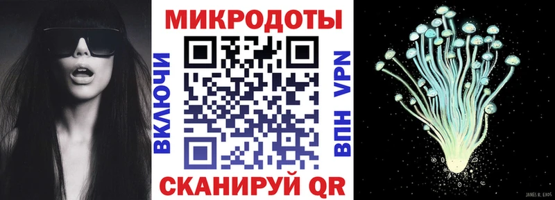 Купить  Грозный  Псилоцибиновые грибы мицелий 